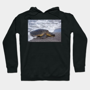 on dry land Hoodie